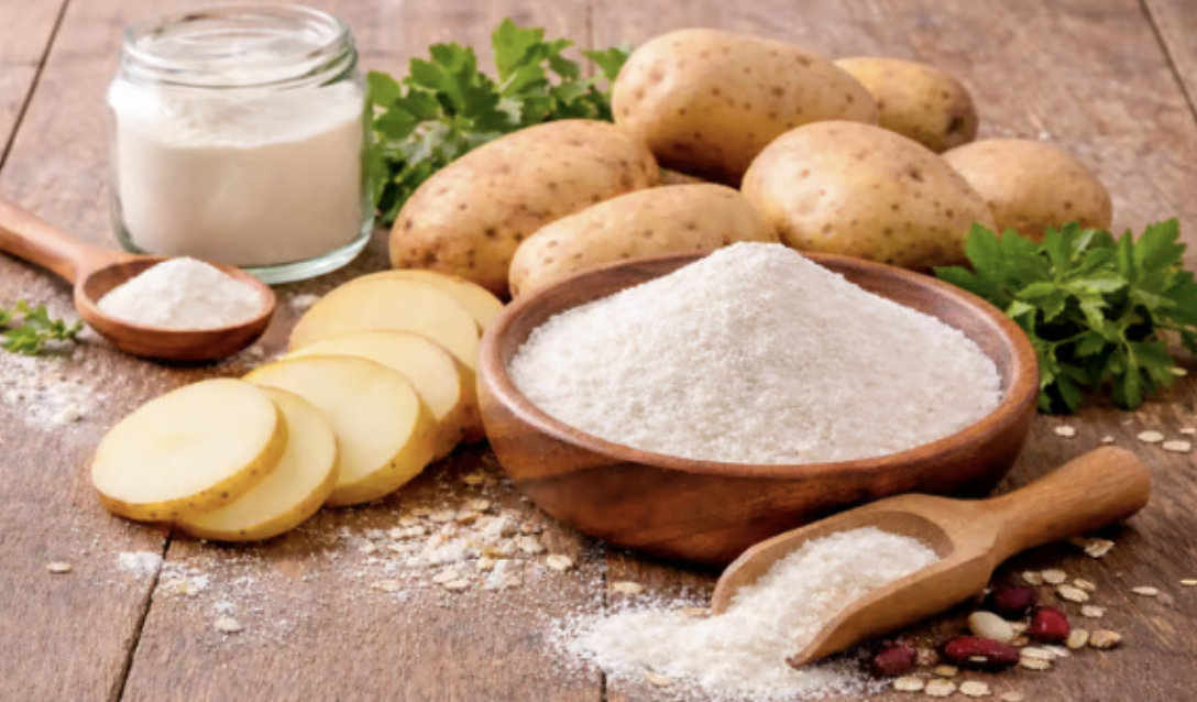 Captura de Tela 2026-02-11 às 22.54.15